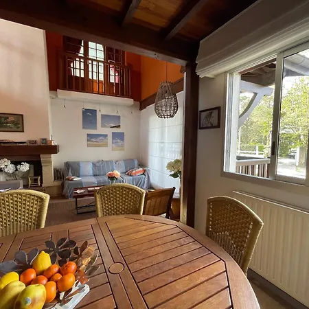 Duplex T5 Avec Terrasse Panoramique A 150m De La - - Fr-1-420-130 Arcachon